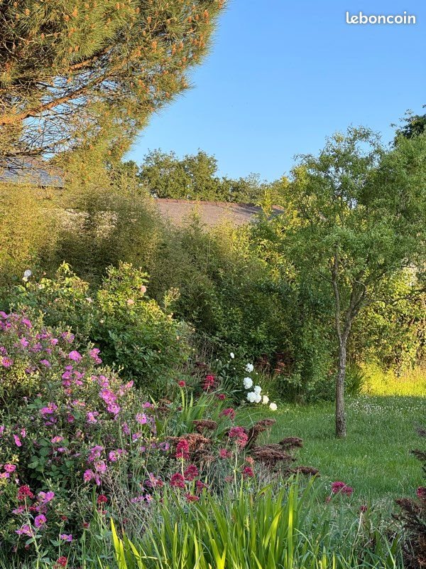 Maison à vendre, 70m², Saint-Aubin-des-Châteaux