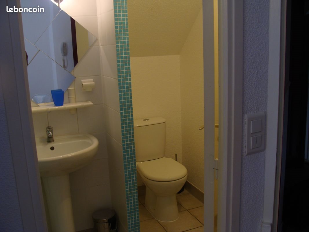 Appartement à louer, 21m², Grenoble