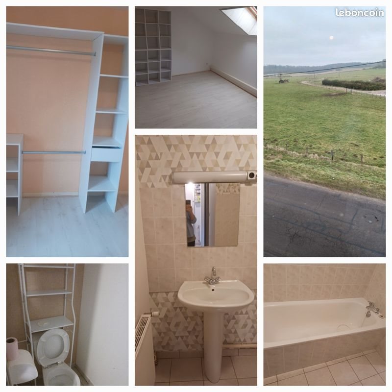 Appartement à louer, 43m², Conflans-sur-Lanterne