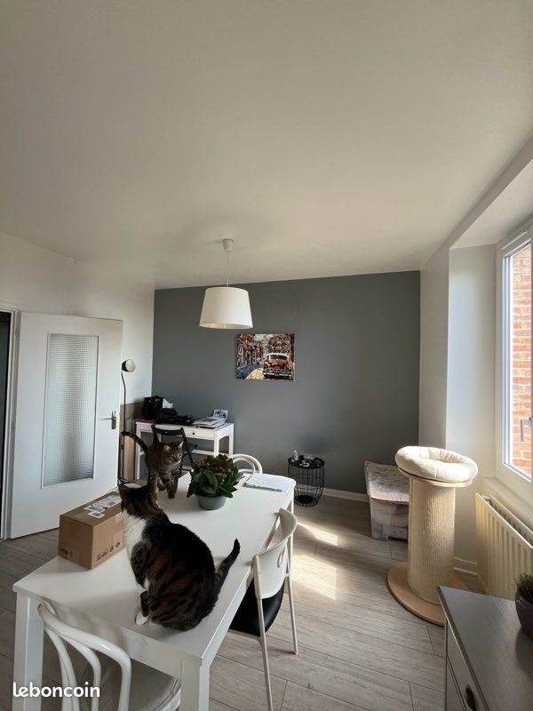 Appartement à louer, 55m², Saint-Romain-de-Popey