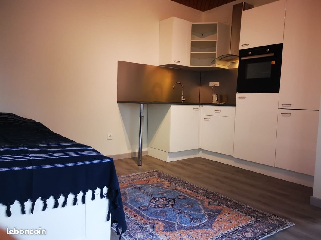 Appartement à louer, 22m², Strasbourg