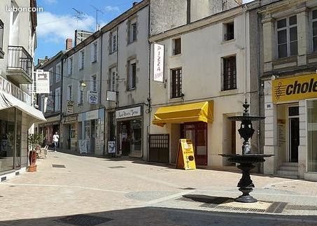 Appartement à louer, 49m², Cholet