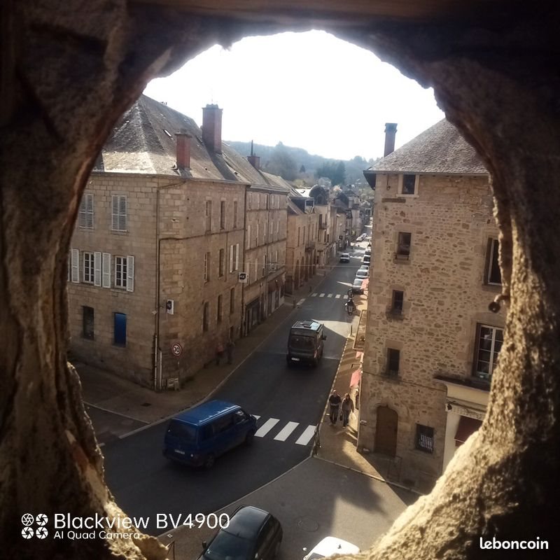 Maison à vendre, 300m², Eymoutiers