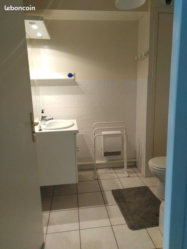Appartement à louer, 25m², Saint-Etienne