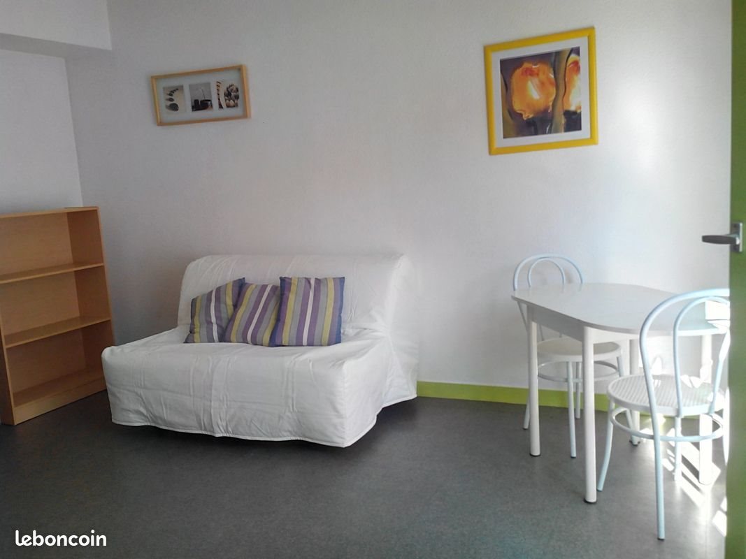 Appartement à louer, 26m², Saint-Etienne