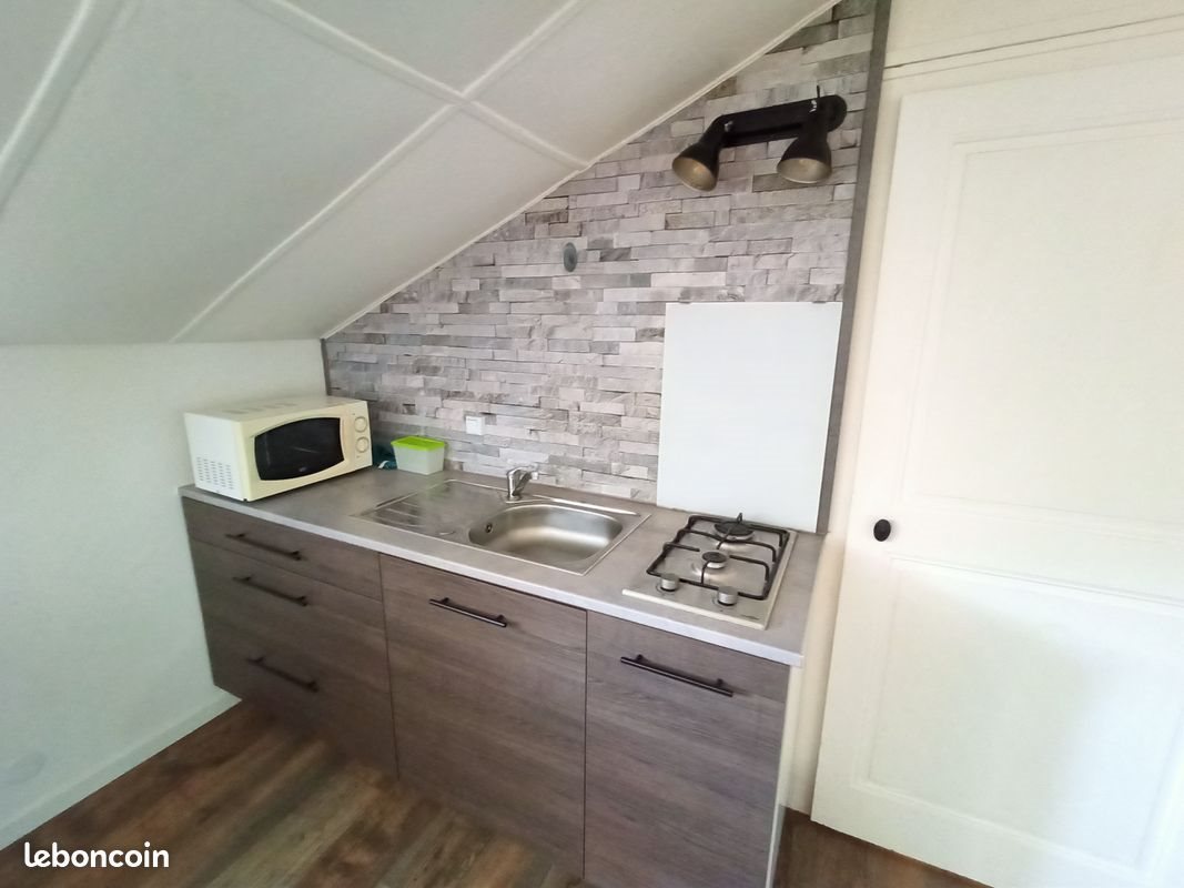 Appartement à louer, 28m², Saint-Etienne