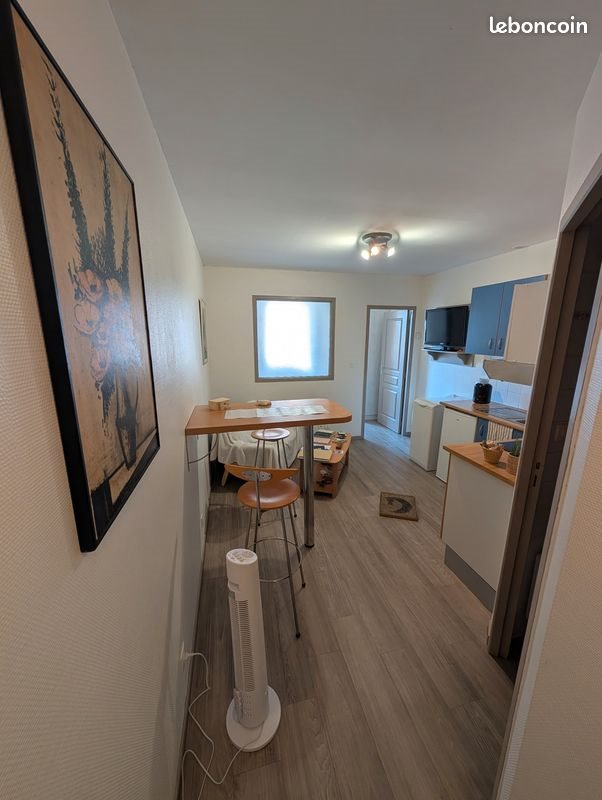 Appartement à louer, 25m², Pau