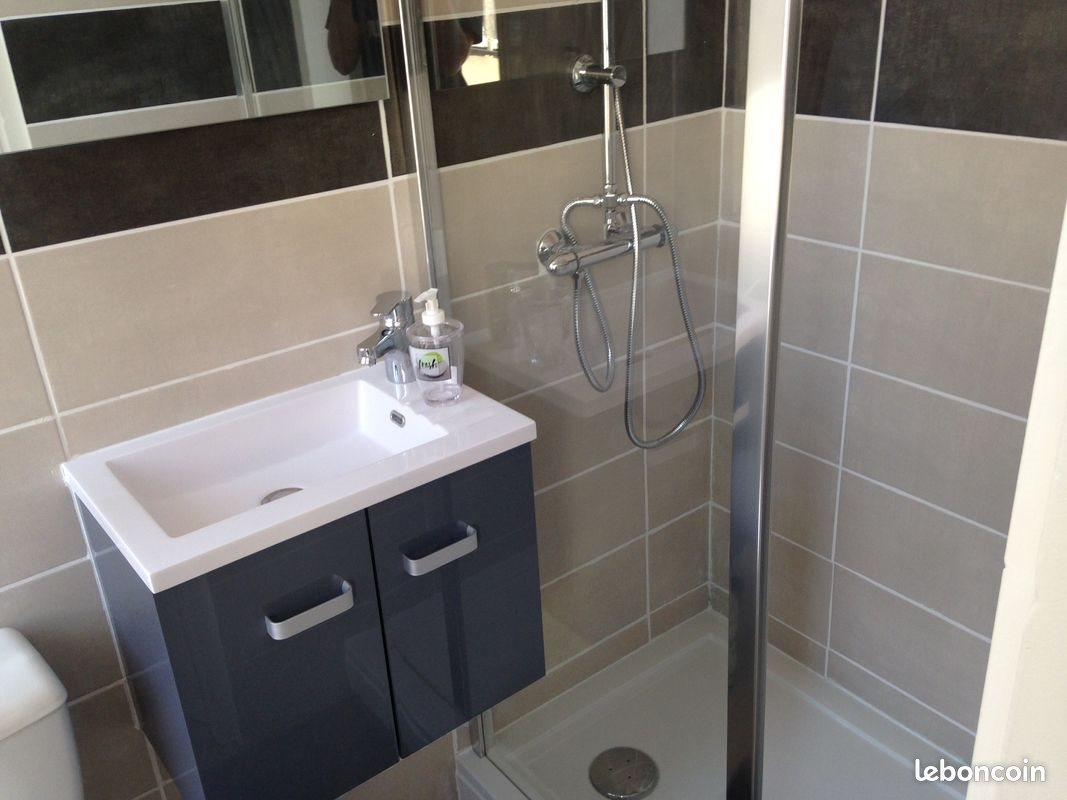 Appartement à louer, 25m², Saint-Etienne