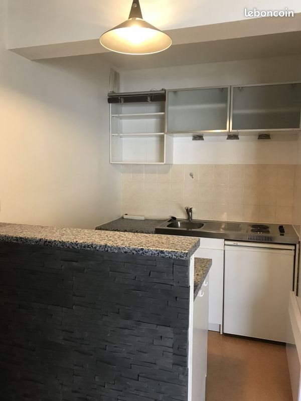Appartement à louer, 40m², Angers