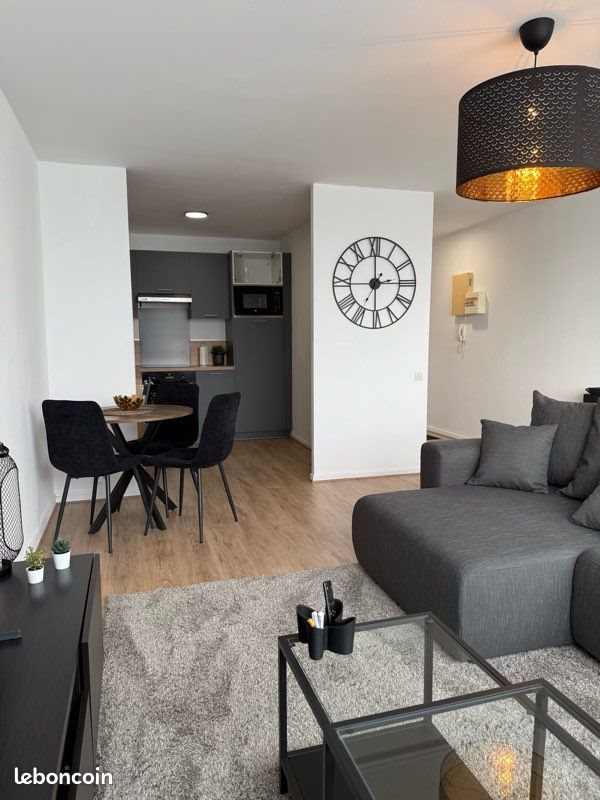 Appartement à louer, 47m², Lille