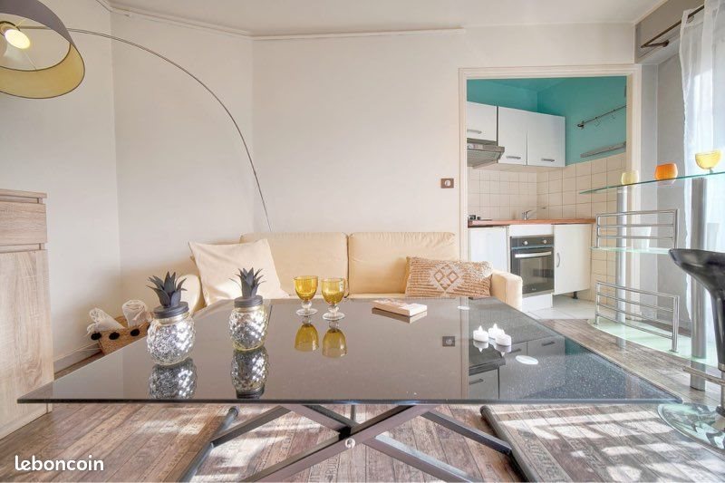 Appartement à louer, 26m², Le Cannet
