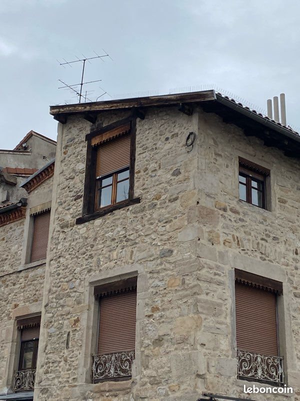 Appartement à vendre, 300m², Saint-Chamond