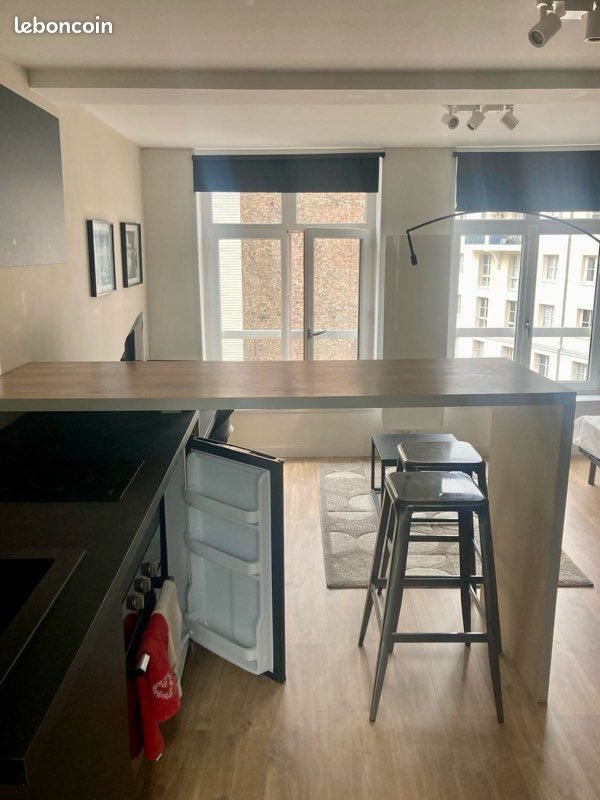 Appartement à louer, 20m², Lille