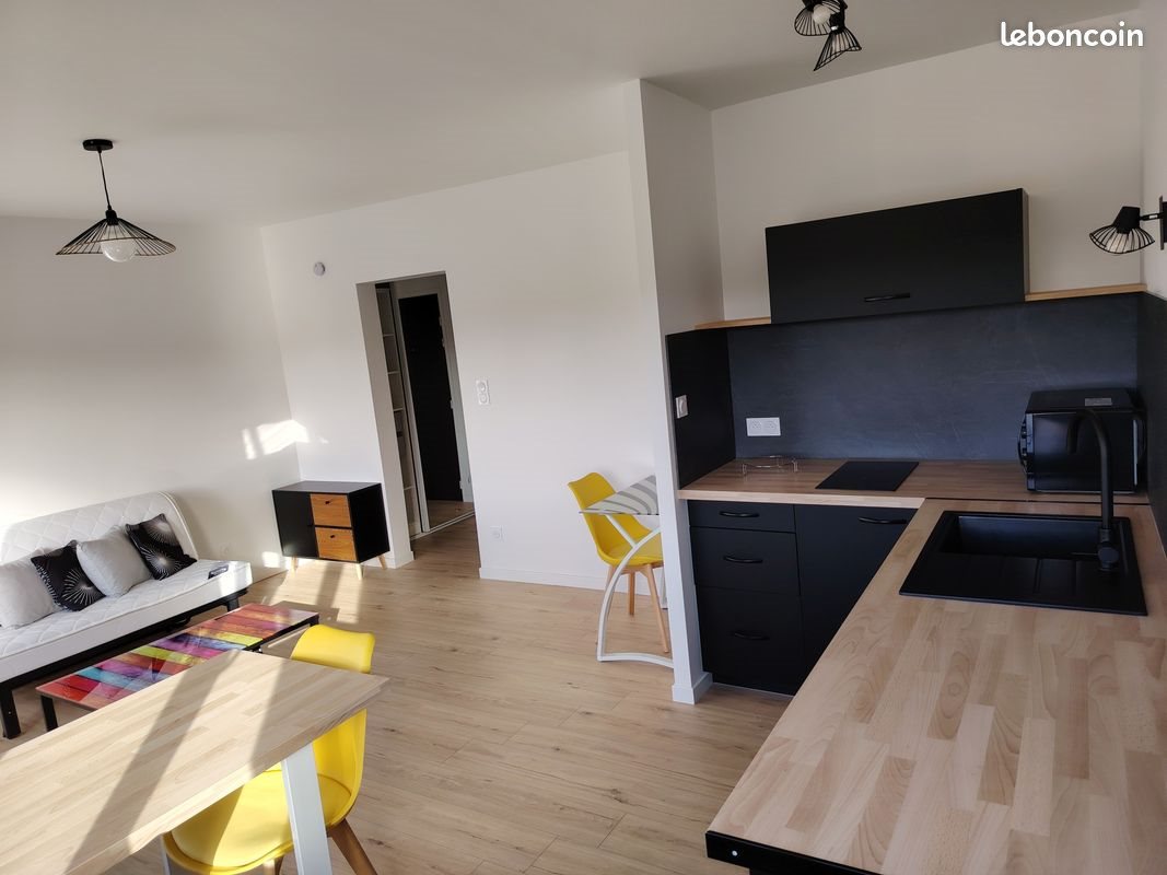 Appartement à louer, 35m², Nancy
