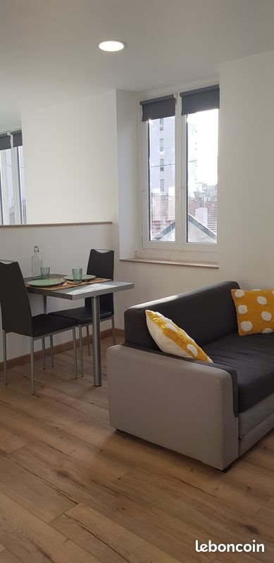 Appartement à louer, 31m², Saint-Etienne