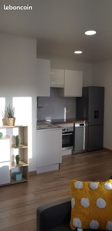 Appartement à louer, 31m², Saint-Etienne