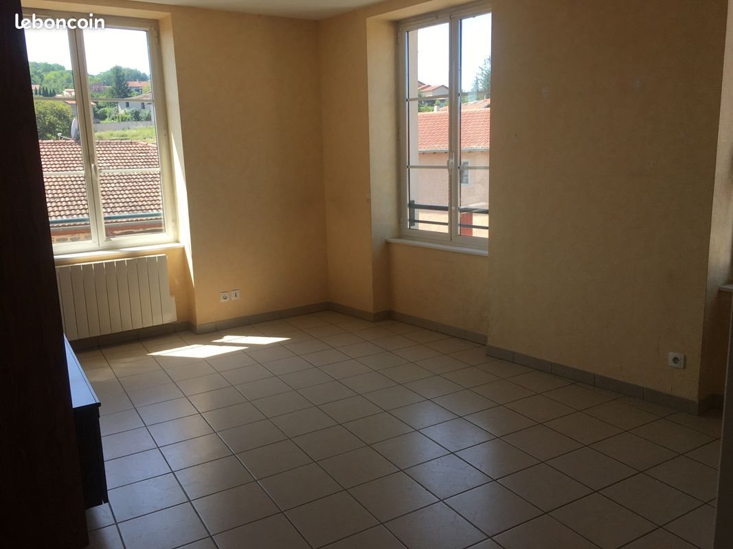 Appartement à louer, 36m², Brussieu