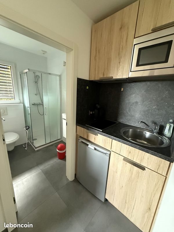 Appartement à louer, 15m², Gex