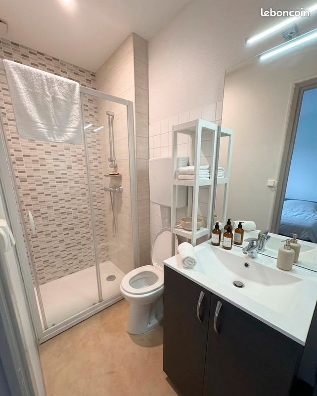 Appartement à louer, 25m², Vichy