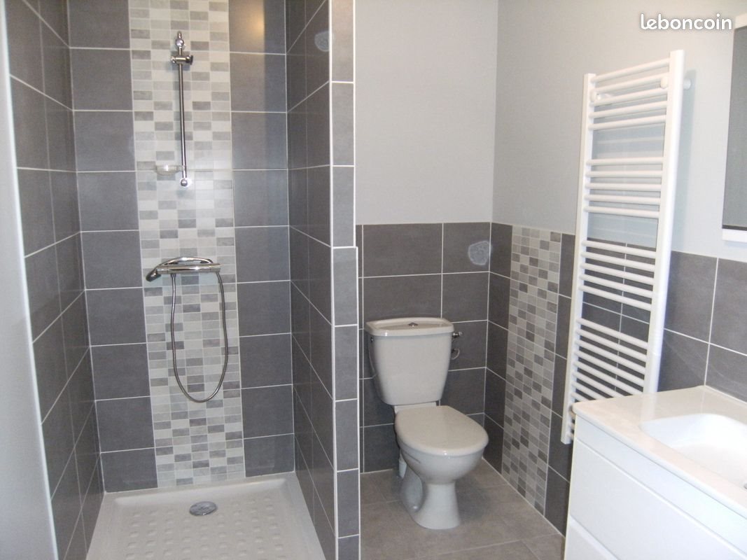 Appartement à louer, 42m², Chazelles-sur-Lyon
