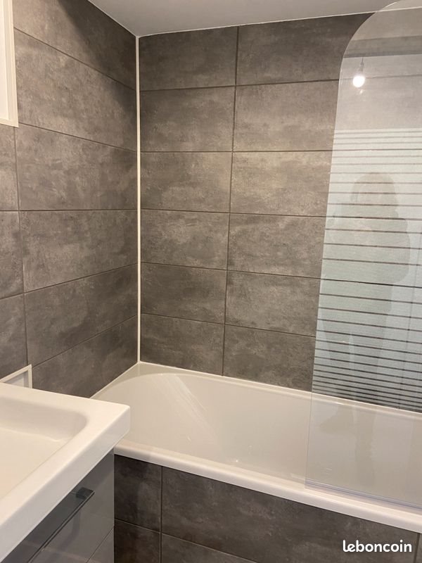 Appartement à louer, 30m², Metz