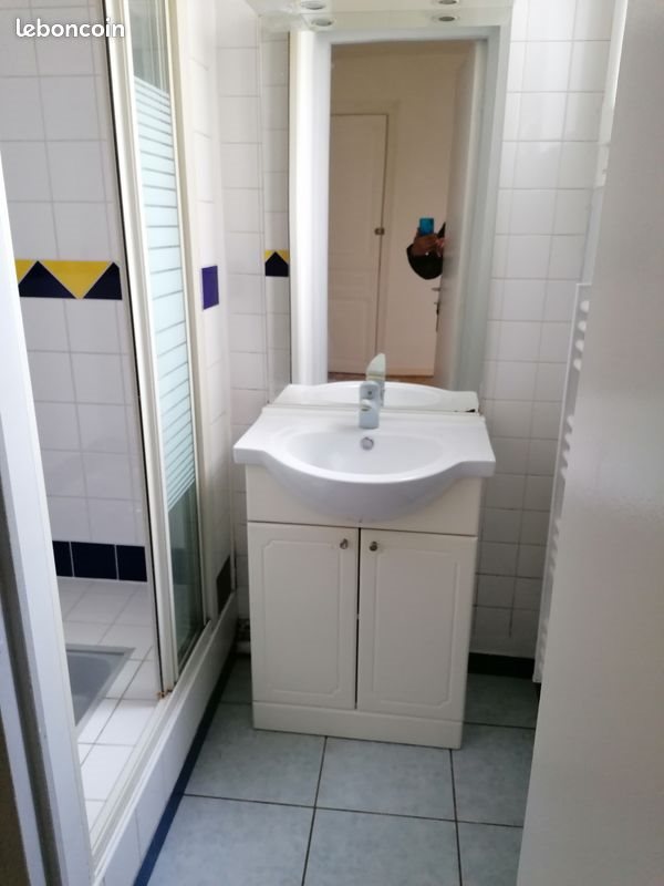 Appartement à louer, 33m², Sainte-Savine