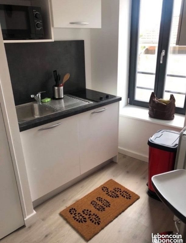 Appartement à louer, 40m², Ecully