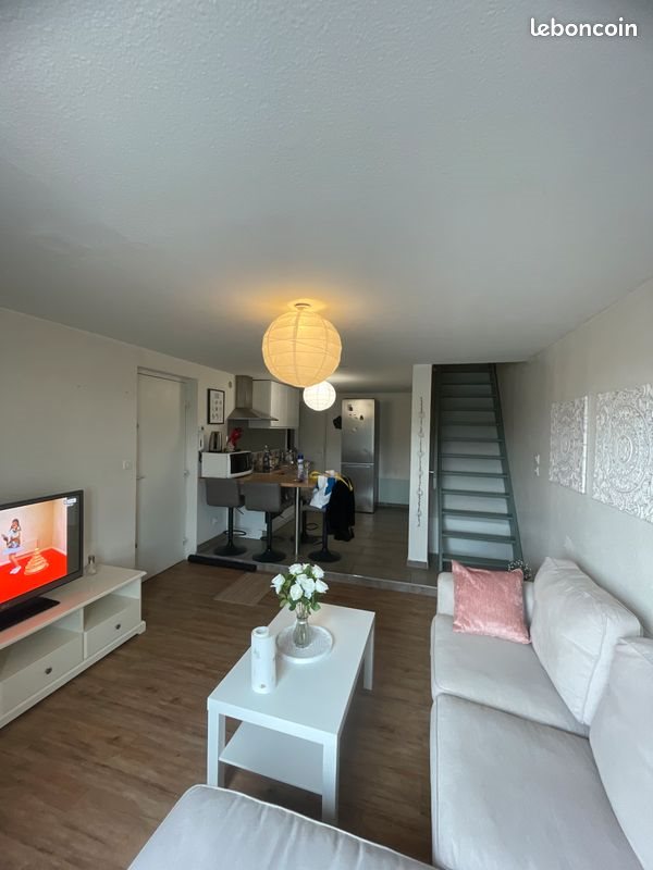 Appartement à louer, 55m², Vienne