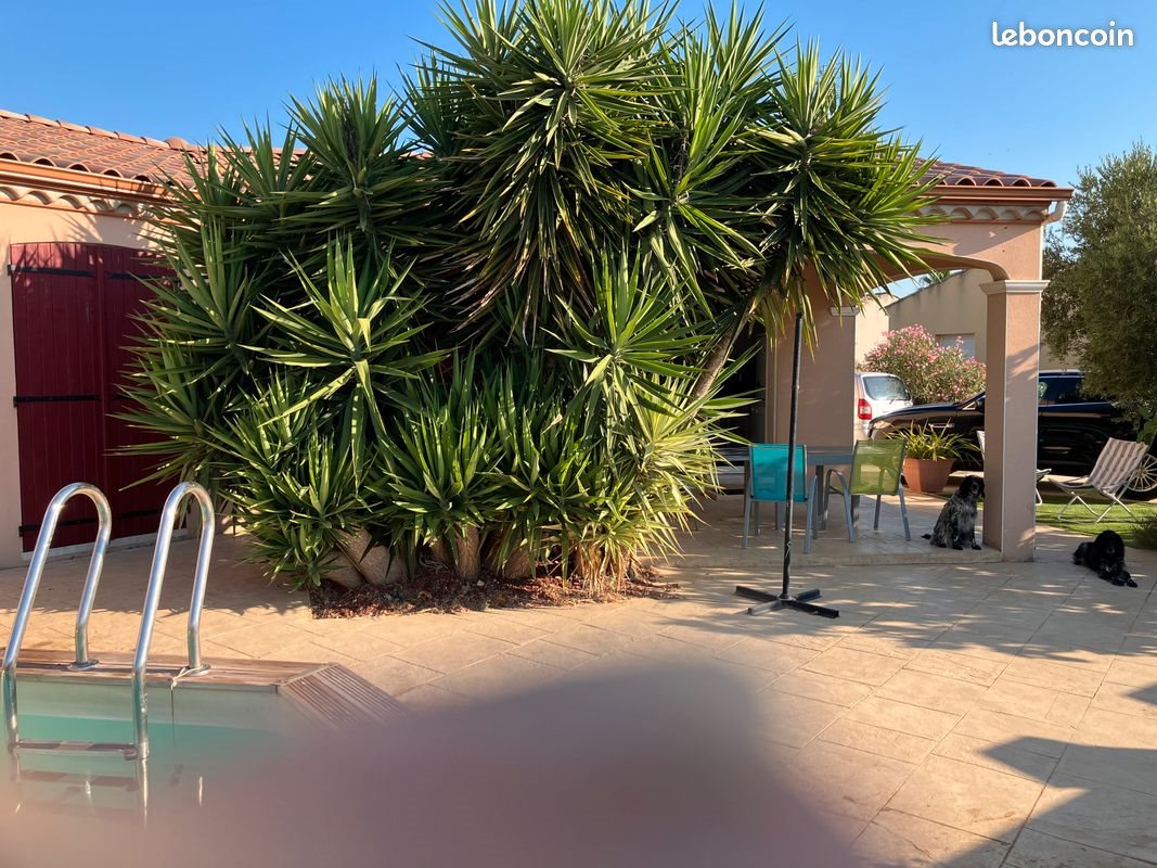 Maison à vendre, 100m², Sérignan