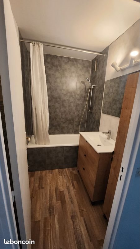 Appartement à louer, 53m², Saint-Maurice