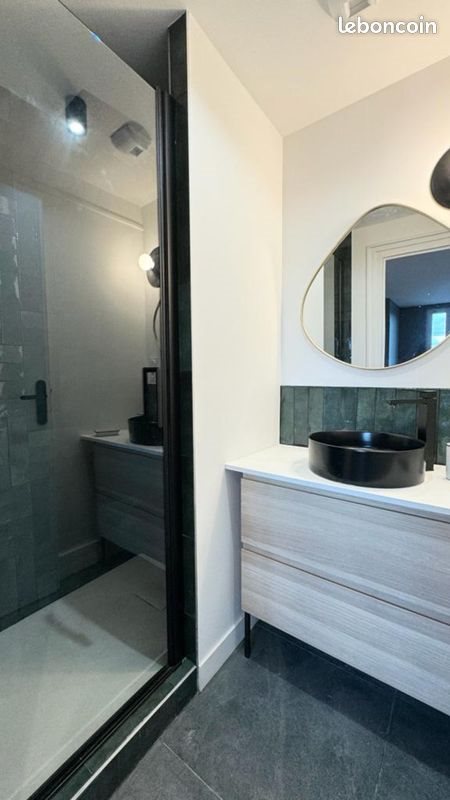 Appartement à louer, 46m², Villeurbanne