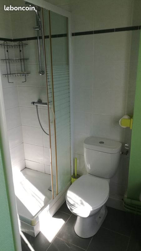 Appartement à louer, 17m², Saint-Etienne