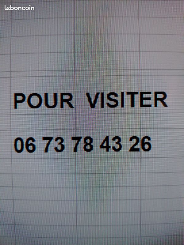 Appartement à louer, 38m², Vichy