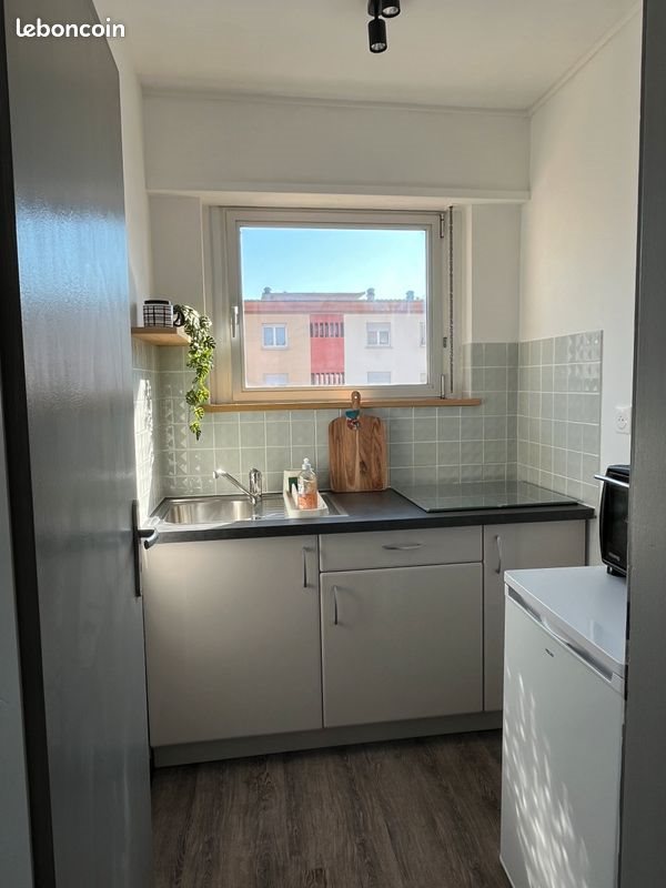 Appartement à louer, 28m², Colmar