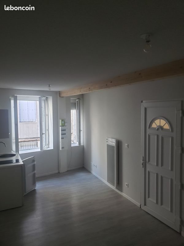 Appartement à louer, 23m², Saint-Etienne