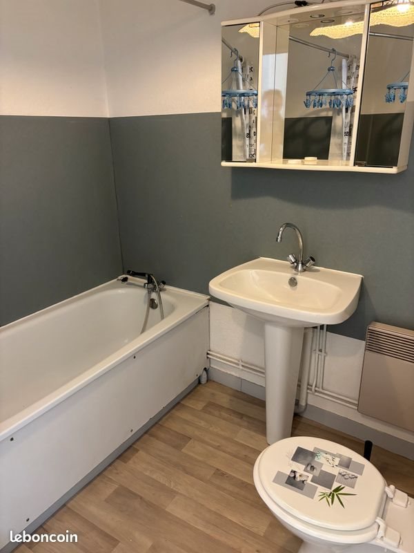 Appartement à louer, 21m², Saint-Etienne