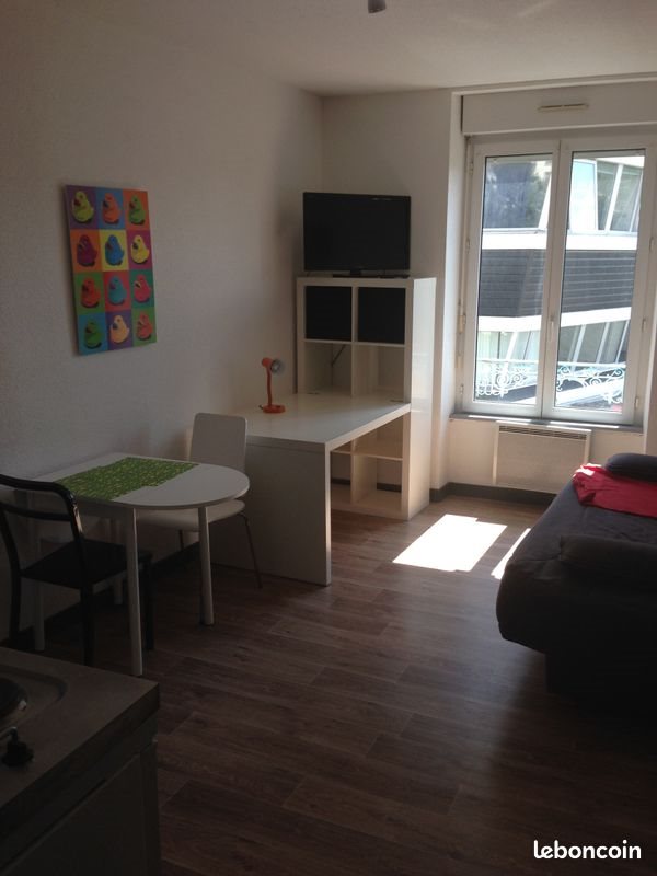 Appartement à louer, 21m², Saint-Etienne