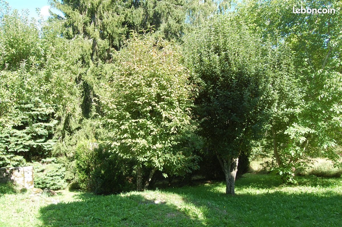Maison à vendre, 159m², Messeix