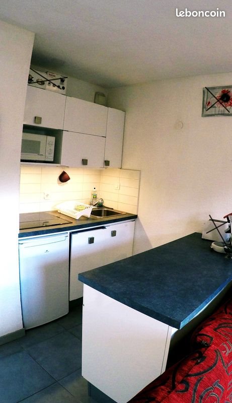 Appartement à louer, 31m², Thollon-les-Mémises
