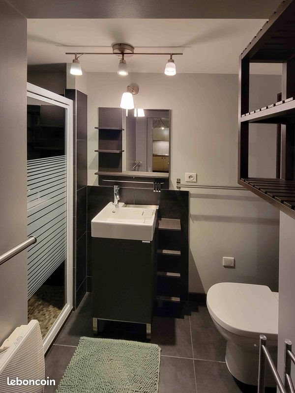 Appartement à louer, 16m², Nancy