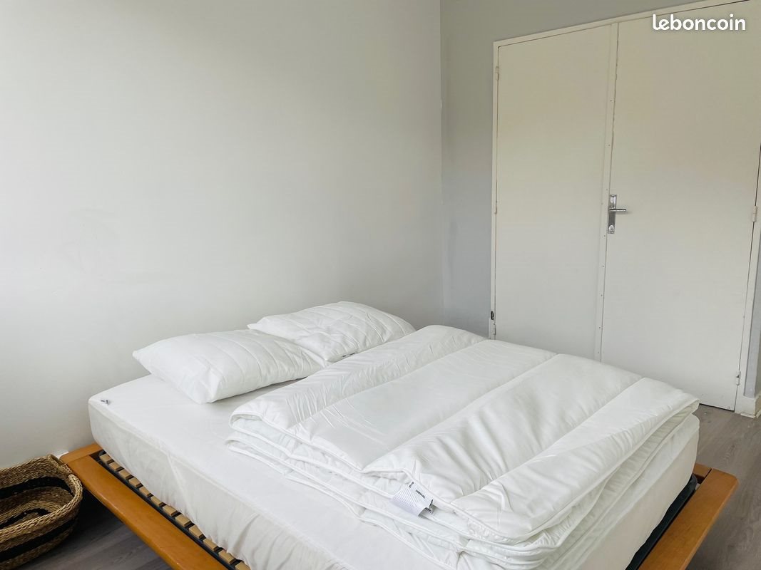 Appartement à louer, 55m², Saint-Etienne