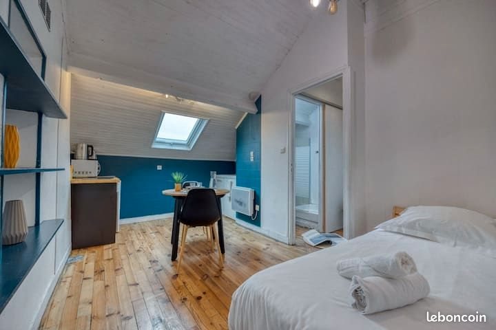 Appartement à vendre, 20m², Grenoble