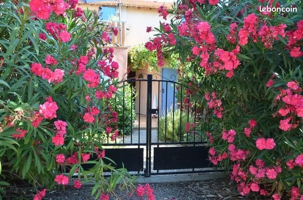 Maison à louer, 85m², Eyguières