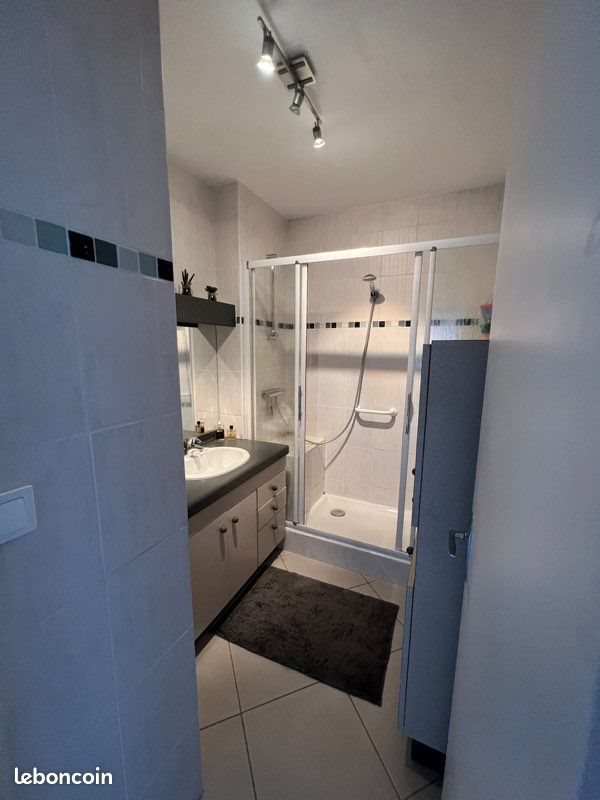 Appartement à louer, 55m², Firminy