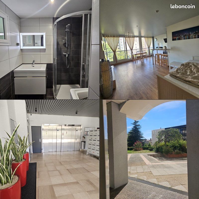 Appartement à louer, 42m², Saint-Étienne