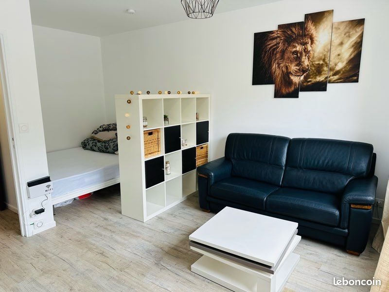 Appartement à louer, 27m², Villeurbanne