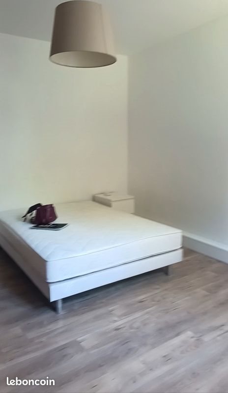 Appartement à louer, 48m², Saint-Étienne