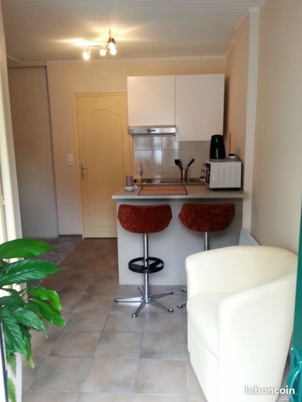 Appartement à louer, 17m², Gex