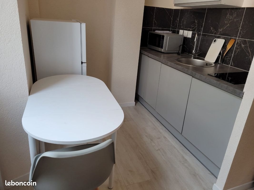 Appartement à louer, 17m², Scionzier