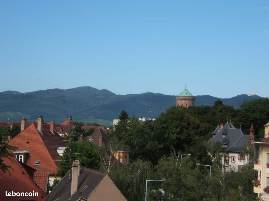 Appartement à louer, 29m², Colmar